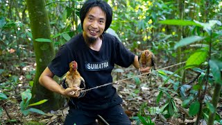 3 Days Solo Island Survival (No Food No Water No Shelter) SURVIVAL SHELTER - Catch and Cook