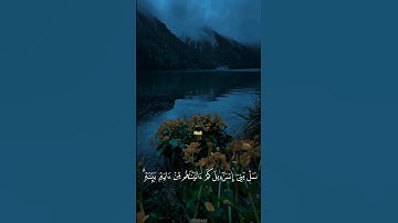القارئ الشبل عبدالله احمد شعبان 🎧🖤 #قرآن