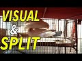 What is visual  split in lovebirds in urduhindi  visual or split kia hain dsaviary 3132022