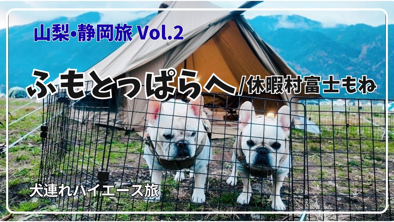 ふもとっぱらキャンプ/ 山梨・静岡旅Vol.2/ 休暇村富士/ 犬連れキャンプ/ ペットOKロッジ泊/フレンチブルドッグ/ 山梨/静岡