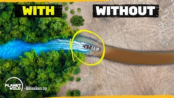 We Found a Way to Save the Amazon Rainforest - Here