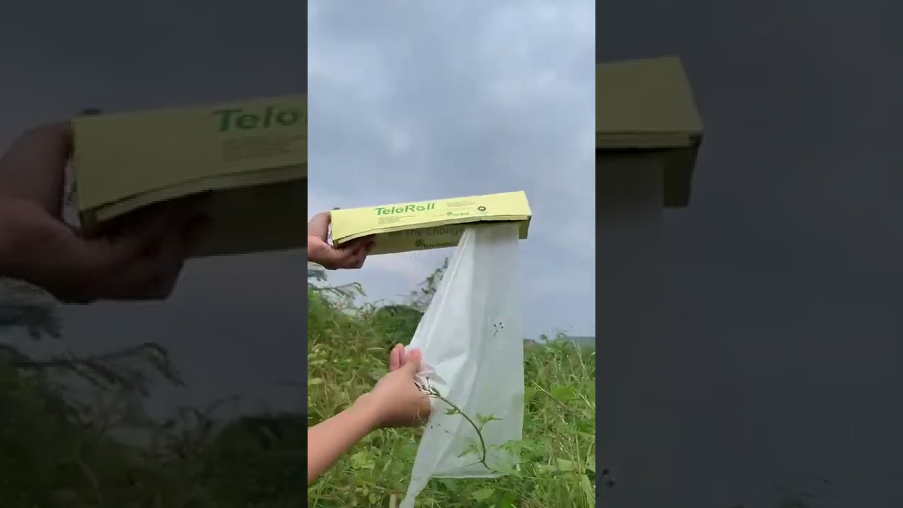 Tearing TeloRoll Perforated Produce Bag YouTube