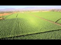 Padron Aerial Tour