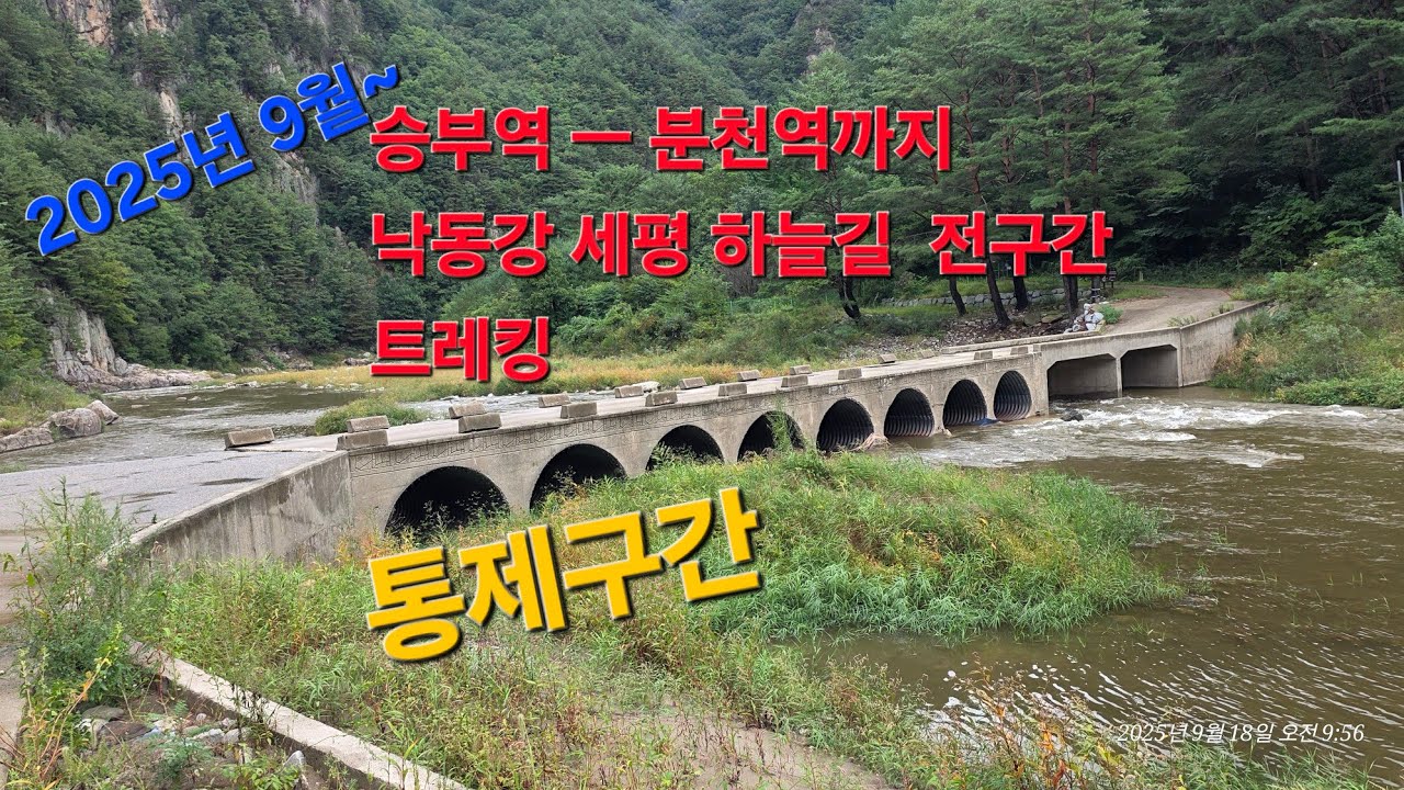 승부역에서 분천역까지, 세평 하늘길을 걷다. 낙동강 세평하늘길 트레킹(승부역-양원역)ㅣ#체르마트길. #승부 #양원 #분천산타마을