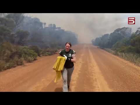 Video: Երկրի ամենափոքր մայրցամաքը, իհարկե, Ավստրալիա