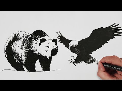 Vídeo: Como Desenhar Animais Em Etapas