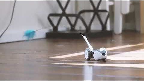 Petronics Mousr Interactive Robotic cat Toy | Plays Automatically or by Smartphone Control | Voted B