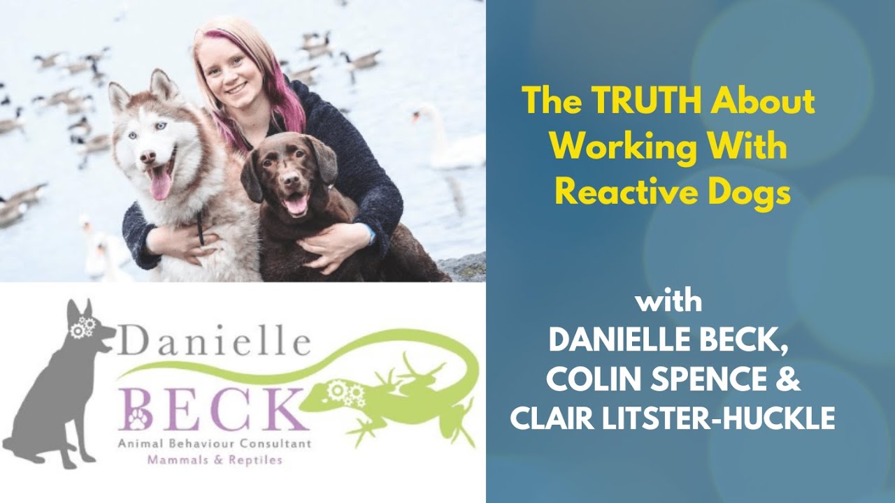 Too Much, Too Soon? Ethical Training Beyond the Threshold with Daniele Beck