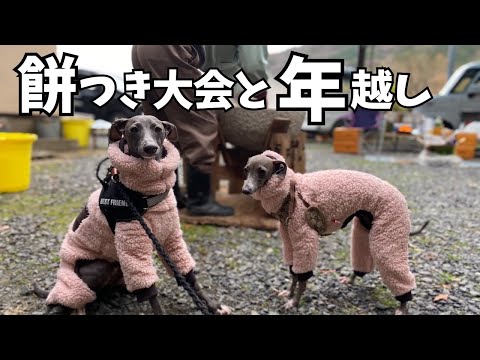【イタグレ3兄弟】年末年始まとめ動画!