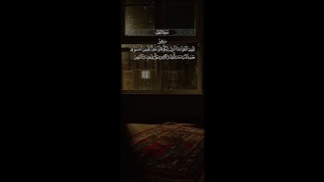 #الشيخ_ماهر_المعيقلي #سورة_النحل #تدبر_معاني_القرآن_الكريم #تلاوة_مؤثرة #اكسبلور #رحلة_إيمانية