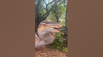 Con Rắn Khổng Lồ Này Thật Đáng Sợ! 🐍