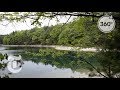 Reflect On Henry David Thoreau’s Vision Of Walden Pond | The Daily 360 | The New York Times