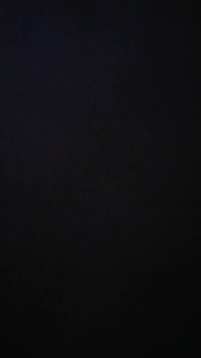 5 февраля 2024 г.