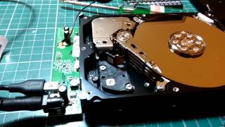 Hard disk beeping sound, looking at the internal