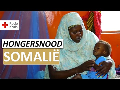 Video: De Associatie Tussen Malaria En Ondervoeding Bij Kinderen Onder De Vijf In Het District Shashogo, Zuid-Ethiopië: Een Case-control Studie