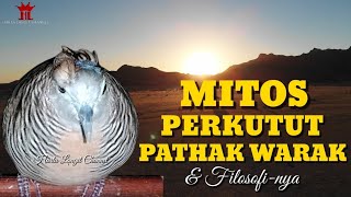Characteristics and Myths of the Pathak Warak Turtle Dove