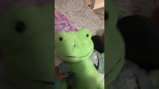 Best plushies for autism