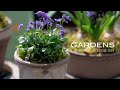 【GARDENS】 デンマークの素敵なポットBERGS POTTER &B・GREEN | 春の鉢植え   Wonderful flowerpots from Denmark【ガーデンズ 】