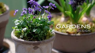 【GARDENS】 デンマークの素敵なポットBERGS POTTER &B・GREEN | 春の鉢植え   Wonderful flowerpots from Denmark【ガーデンズ 】