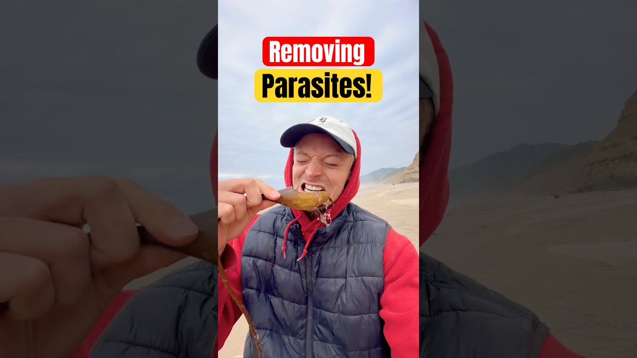 Removing Parasites From Helpless Shrimp! 😱 #animals #nature #shorts