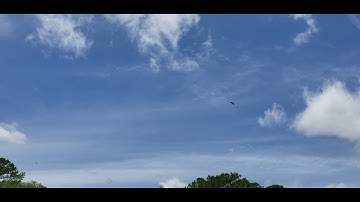 SJA Hawks Part 3 - Saint John Academy, Savannah, Georgia, Mother Earth