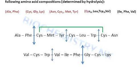 Protein sequencing sample exercise solved: elucidation of disulfide bonds