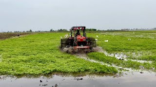 Swaraj tractors working in mud | tractor videos |