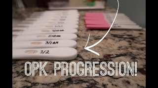 OPK Progression & 4 DPO Update