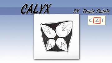 如何畫一般圖樣How to draw the Tangle Pattern CALYX