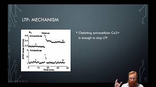 Neural Plasticity 4 - The Mechanism of LTP