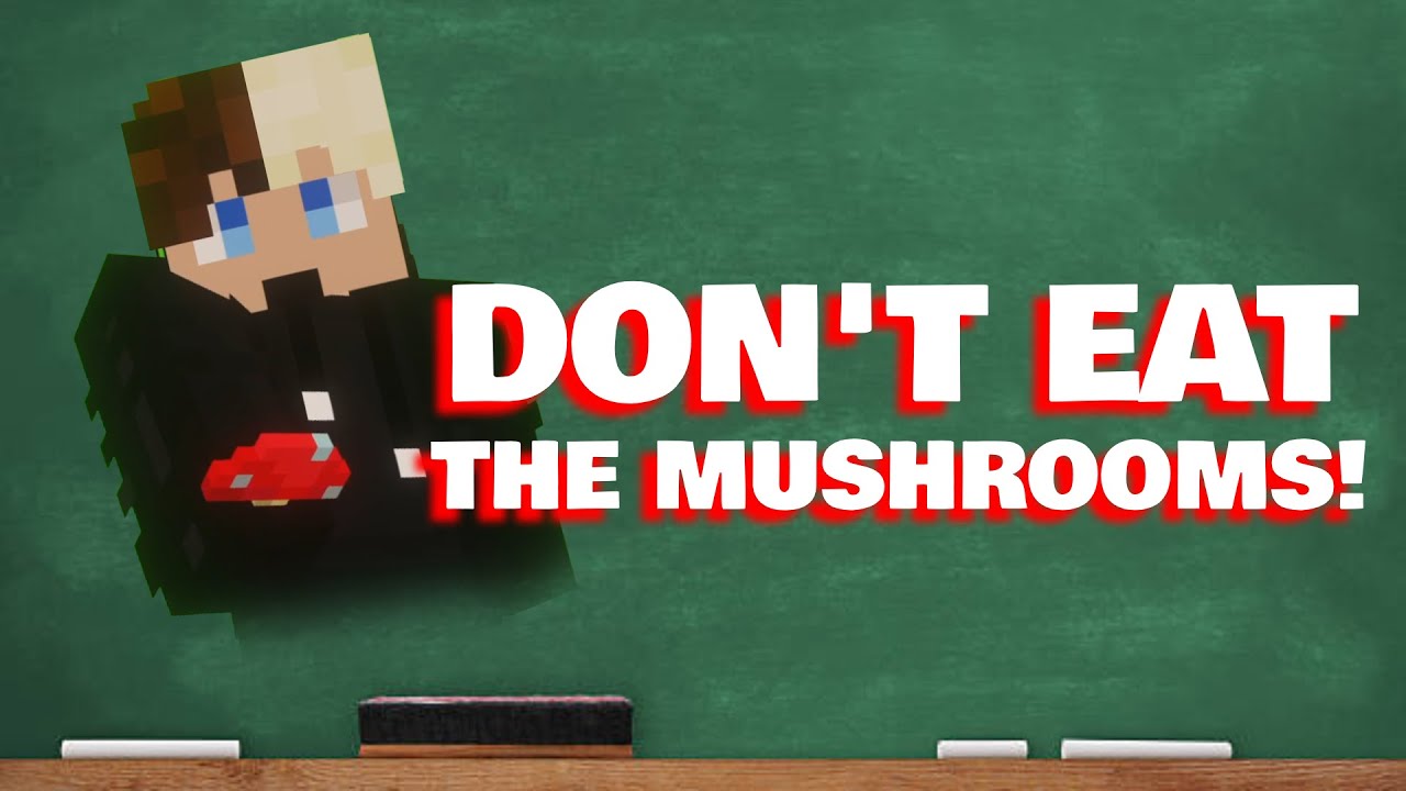 Don't Eat the Mushrooms! A Minecraft CMP ARG YouTube