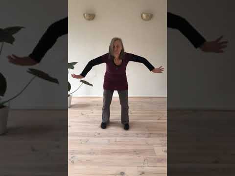 Anti-virale qigong- de