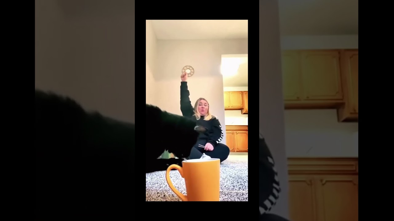 30.#funny #cat #pet #catcat #catshorts #funnycats #catvideos #foryou #fyp #fypシ゚viral #fypyoutube