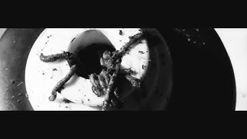 WRVTH-Malaise (Official Music Video)