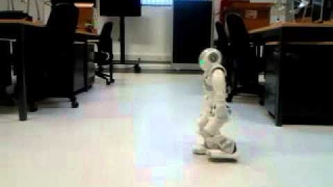 Fast Walking Experiment