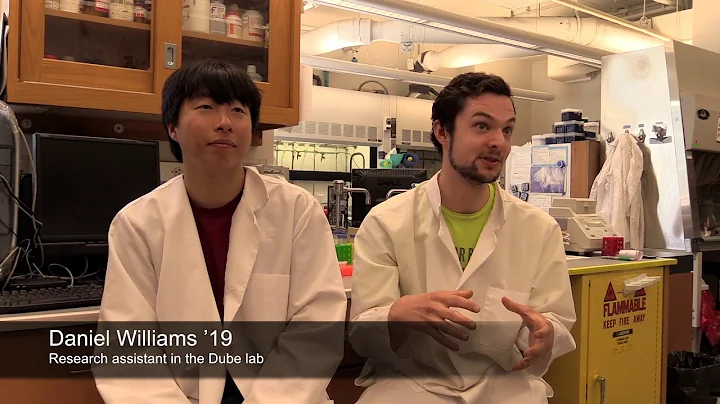 In Faculty Labs, Students Help Pave the Way for Po...