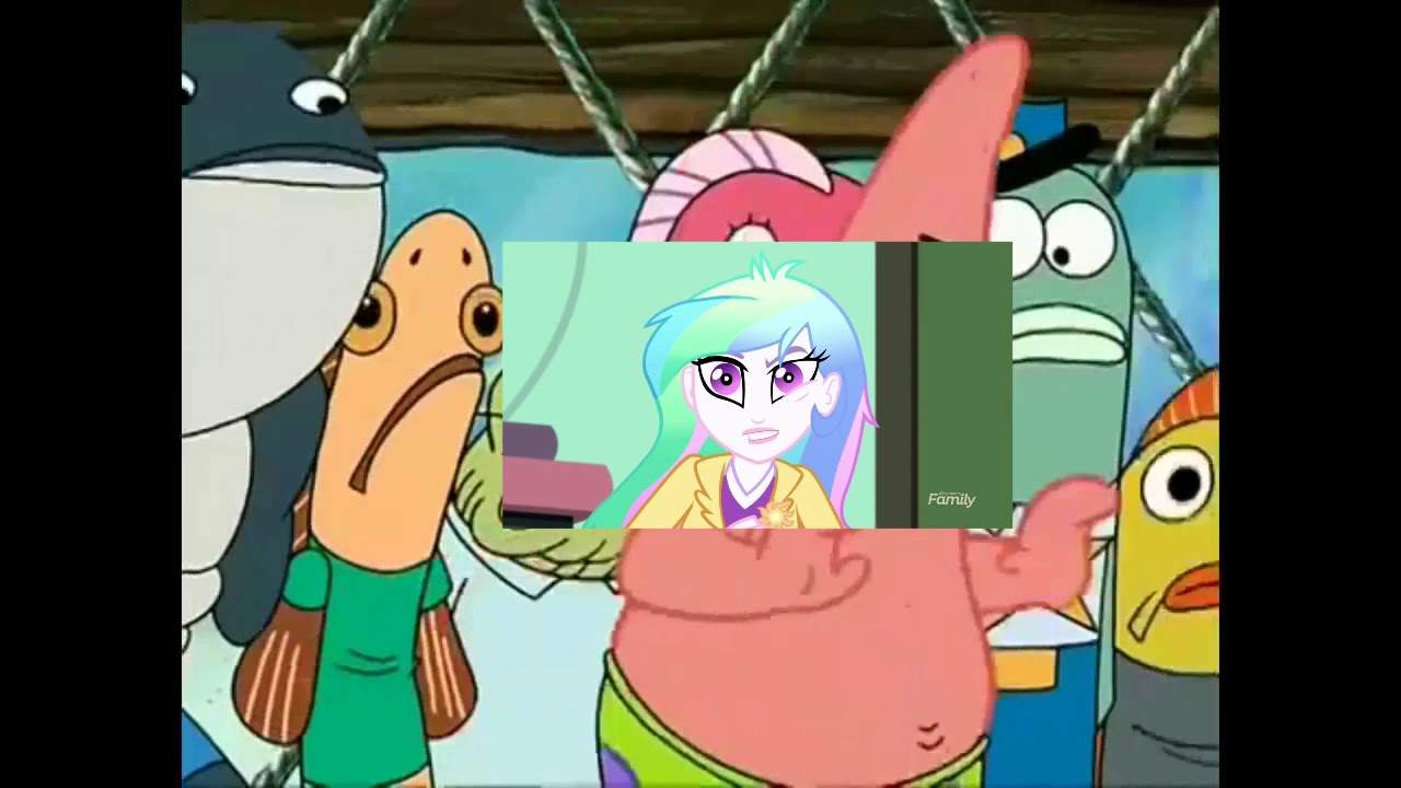 Molestia's Solution for Everything