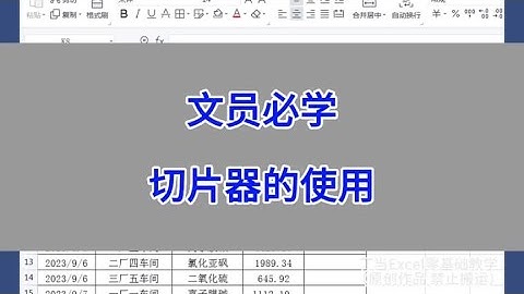 WPS Excel：文员必学，切片器的使用。#excel #wps #办公技巧