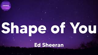 Ed Sheeran - Shape of You (lyrics)