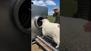 Upgrade Your Home With These Smart Tools 177