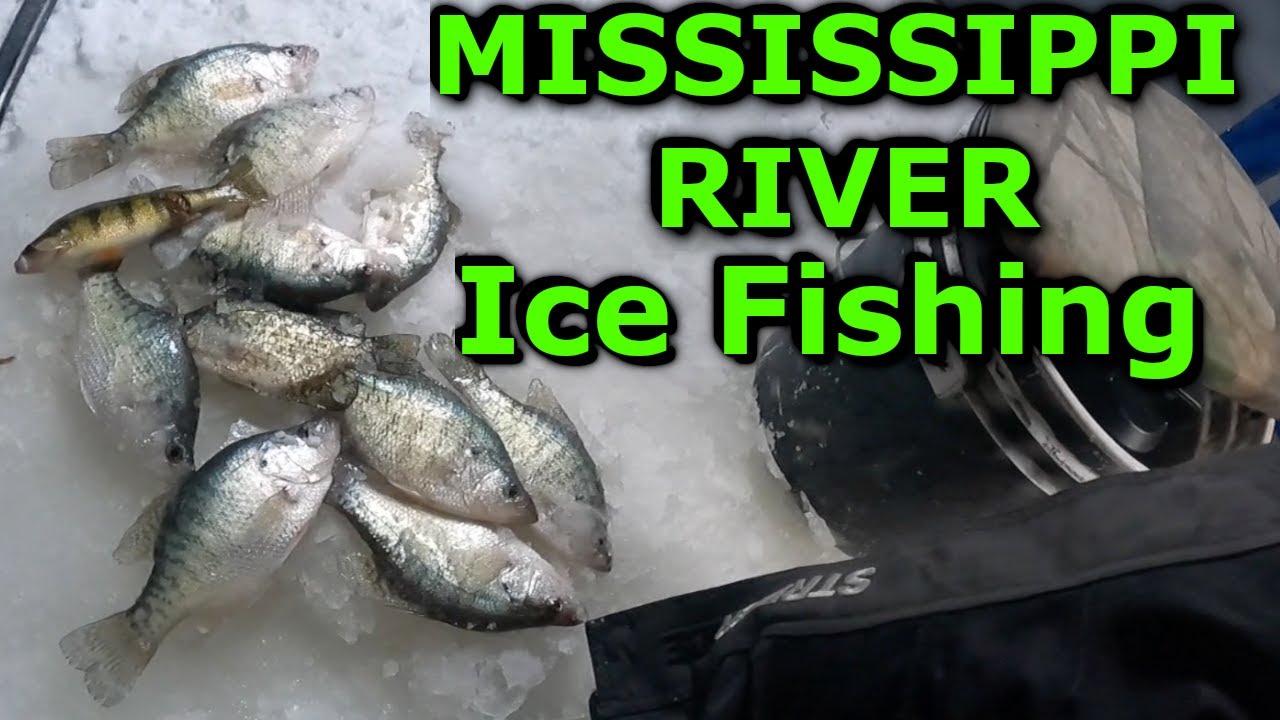 HUGE Schools of Fish! - Mississippi River Ice Fishing 
