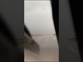جلسه عود بندر بن رسام 2030