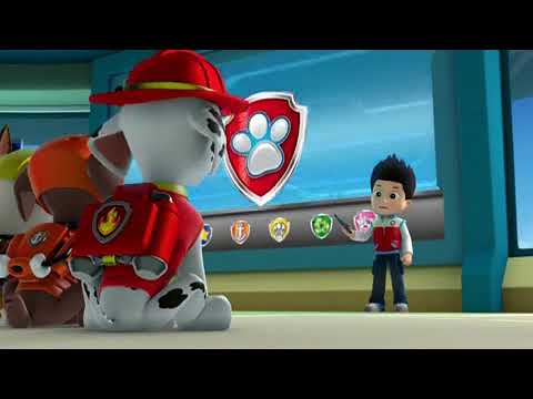 Paw Patrol Se1 - Ep1 Pups and the Kitty-tastrophe - Screen 02