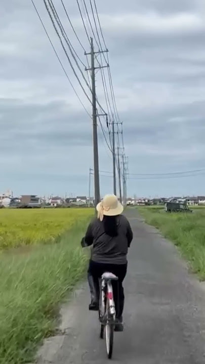 Suasana desa  dijepang # #japanvlog #tottori #farming #KebunBawang