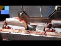 Excellent automatic fish processing line machinery || Catching and processing incredible seafood