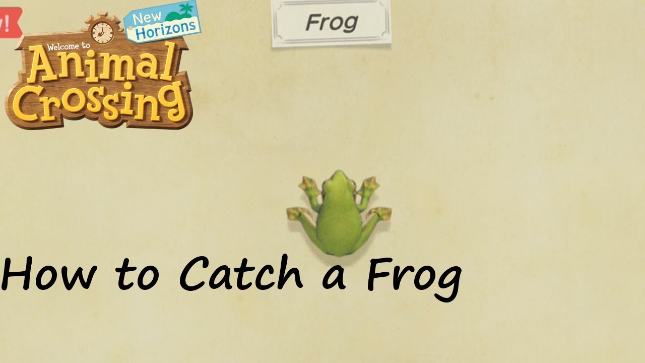 Animal Crossing: New Horizons - How to Catch a Frog 