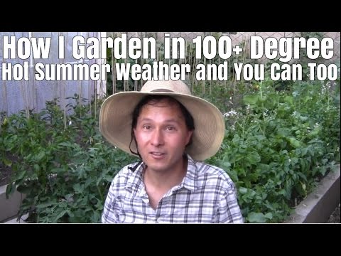 How I Garden Outside in 100+ Degree Hot Summer Weather and You Can Too