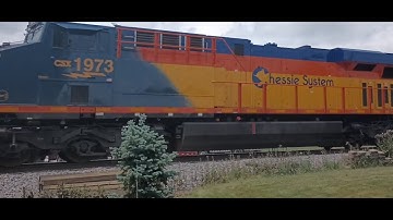 CSX 1973 Chessie System Heritage Unit 7/6/2023