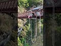 #funny #funnyshorts