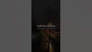 وَإِذَا رَأَوۡهُمۡ قَالُوٓاْ إِنَّ هَٰٓؤُلَآءِ لَضَآلُّونَ | سورة المطففين | محمد صديق المنشاوي